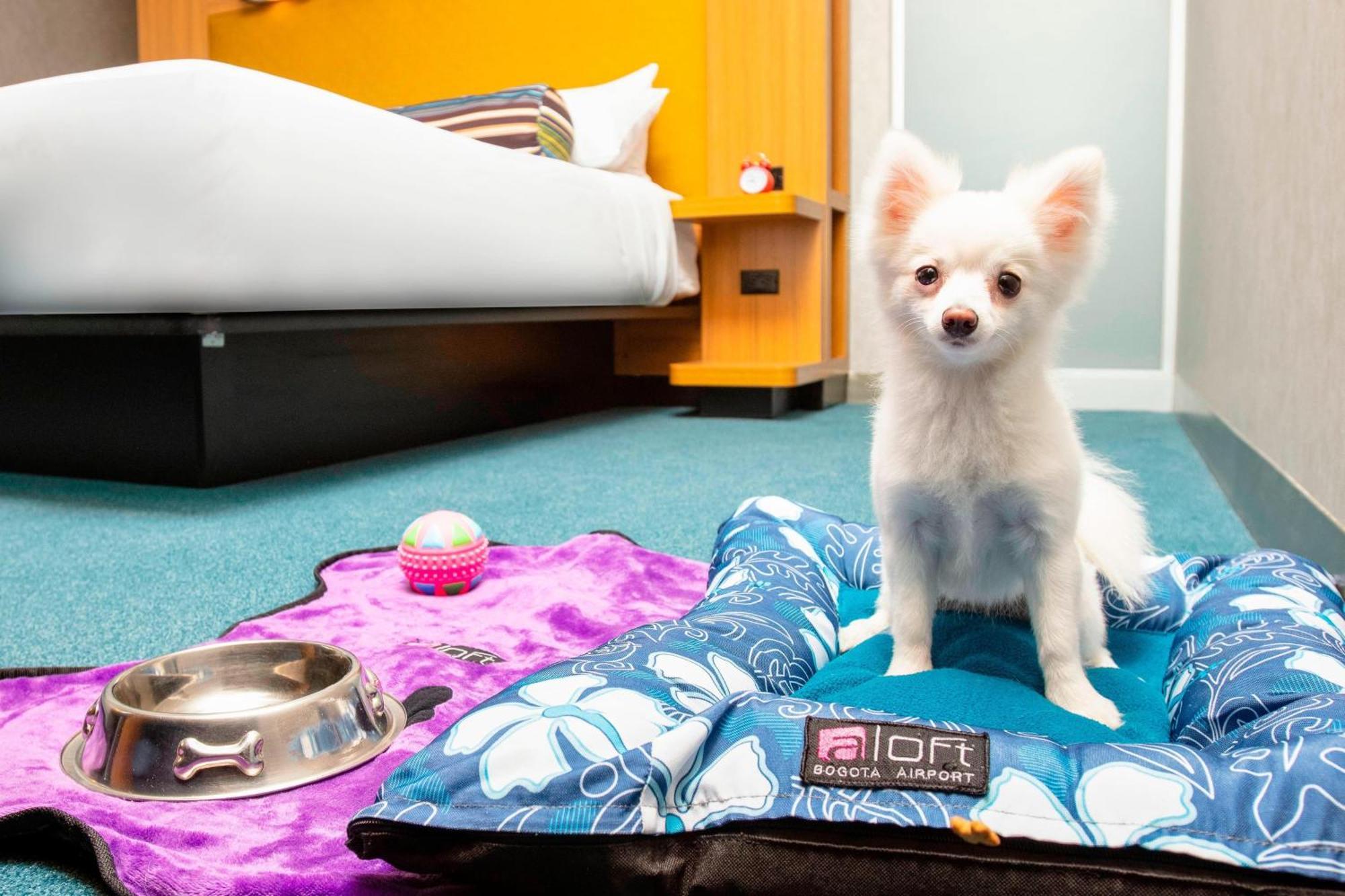 Aloft Bogota Airport Otel Dış mekan fotoğraf